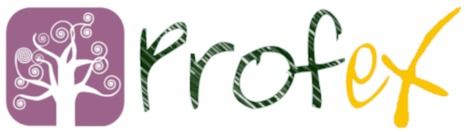Logo Profex