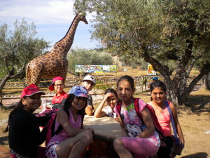 zoo2