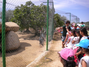 zoo4