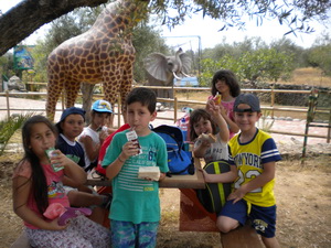 zoo5