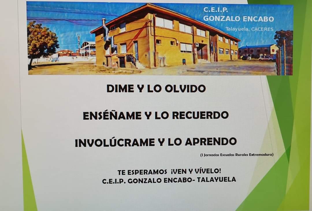 IMAGEN COLE