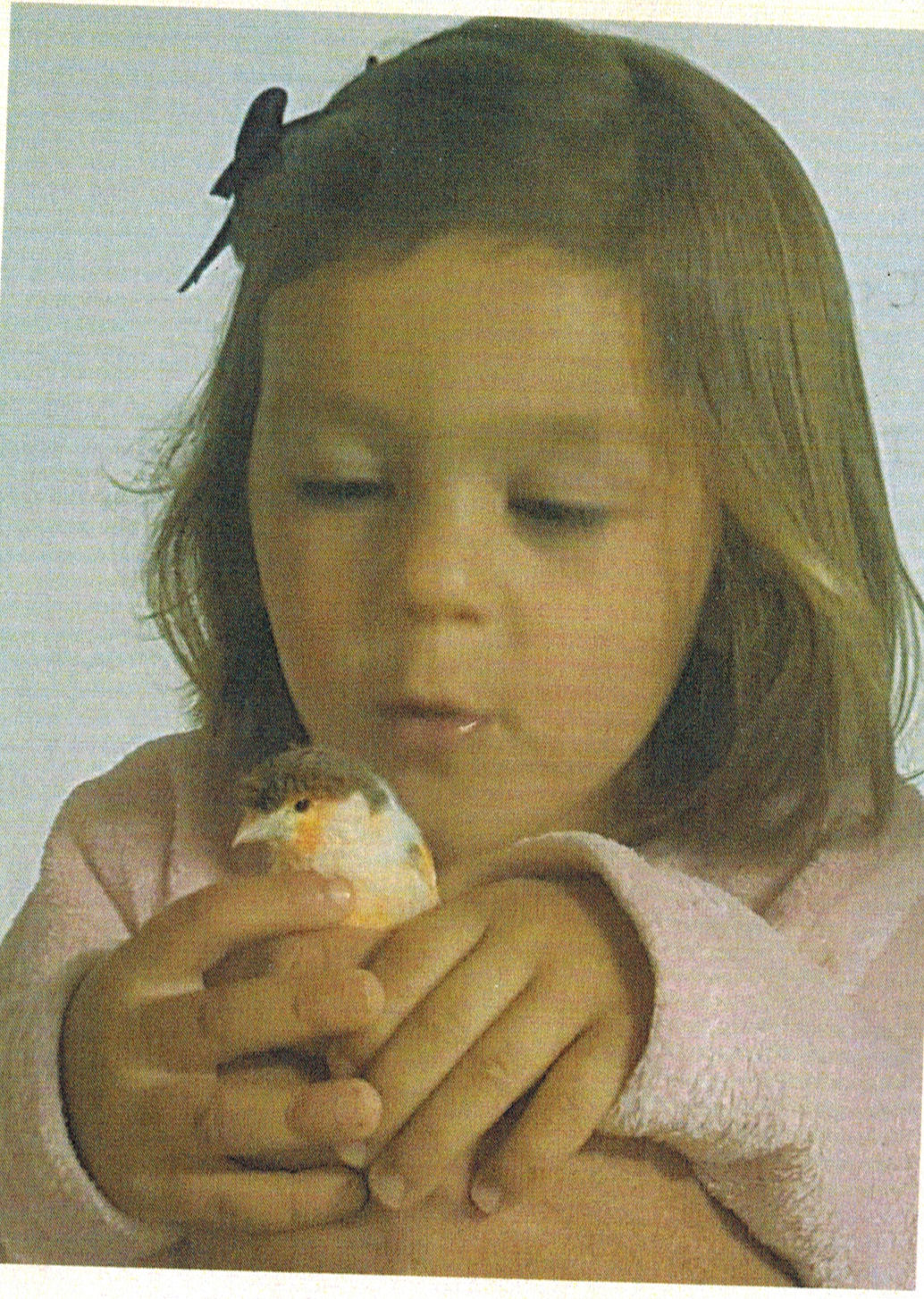 Clara Ed. Infantil 3 años
