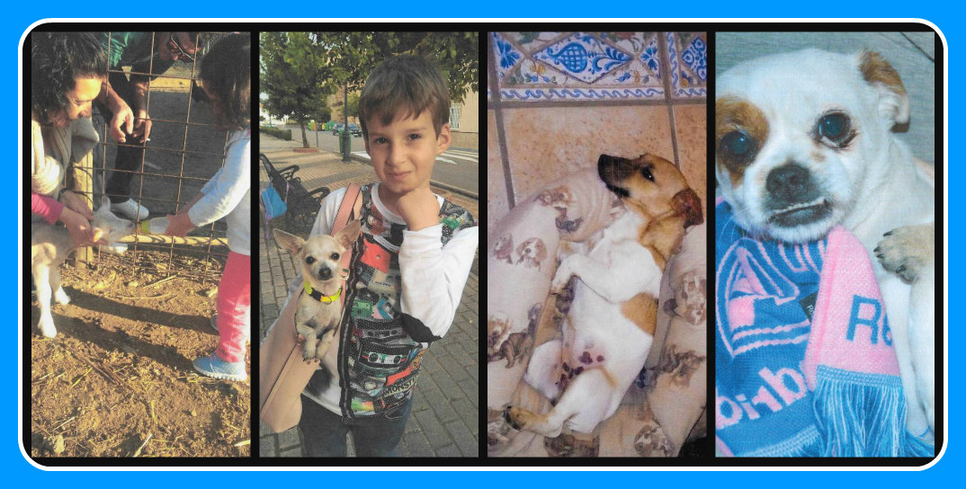 collage 2