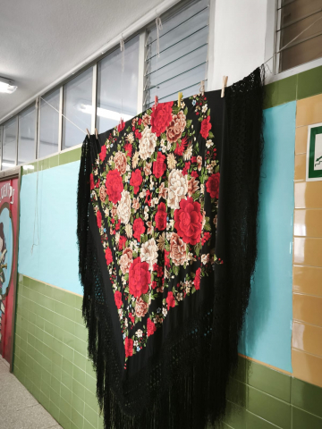 Traje tradional I