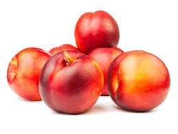 nectarina