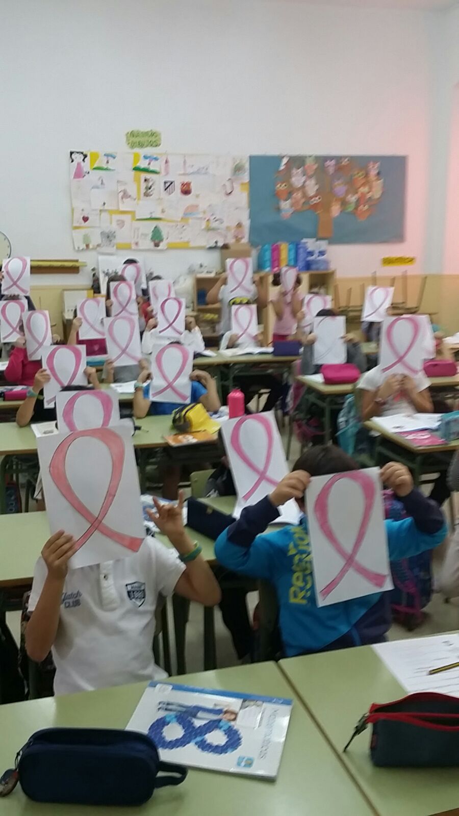 segundo B 2