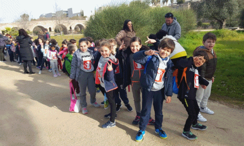 carrera solidaria