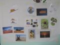 thumb IMG 8493 reb