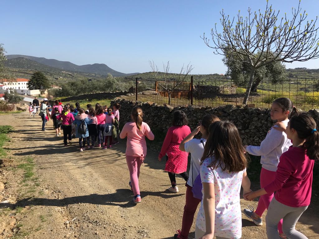 DÍA DE LA SALUD 2018 43