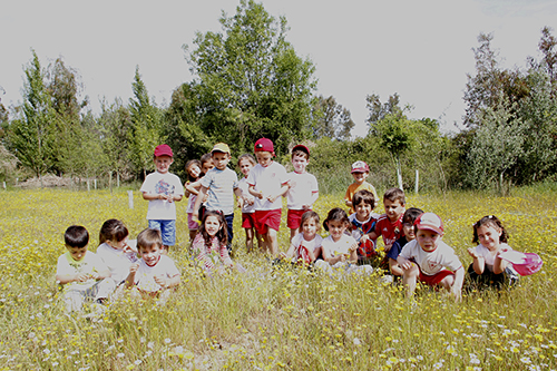 Grupo en las flores peque