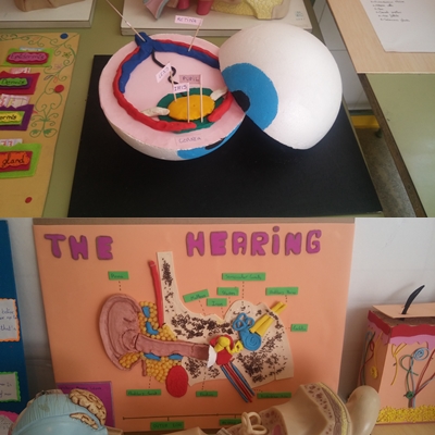 science2a