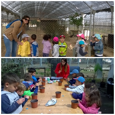 granja3a 4