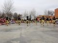 IMG 2505