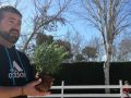 thumbnail IMG 20180222 WA0010
