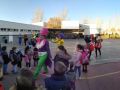 circo 5