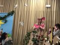 IMG 9197