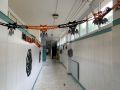 IMG 6184