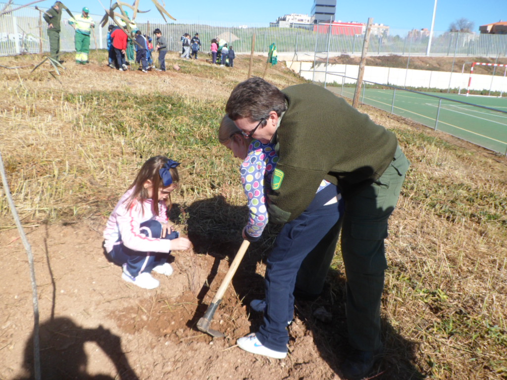 1º primaria 18