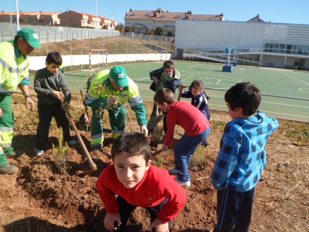 1º primaria 7