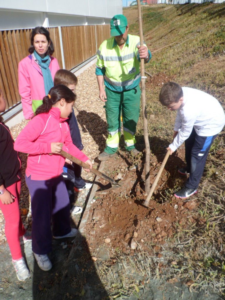 3º primaria 14
