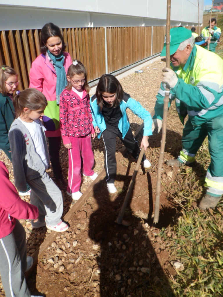 3º primaria 5