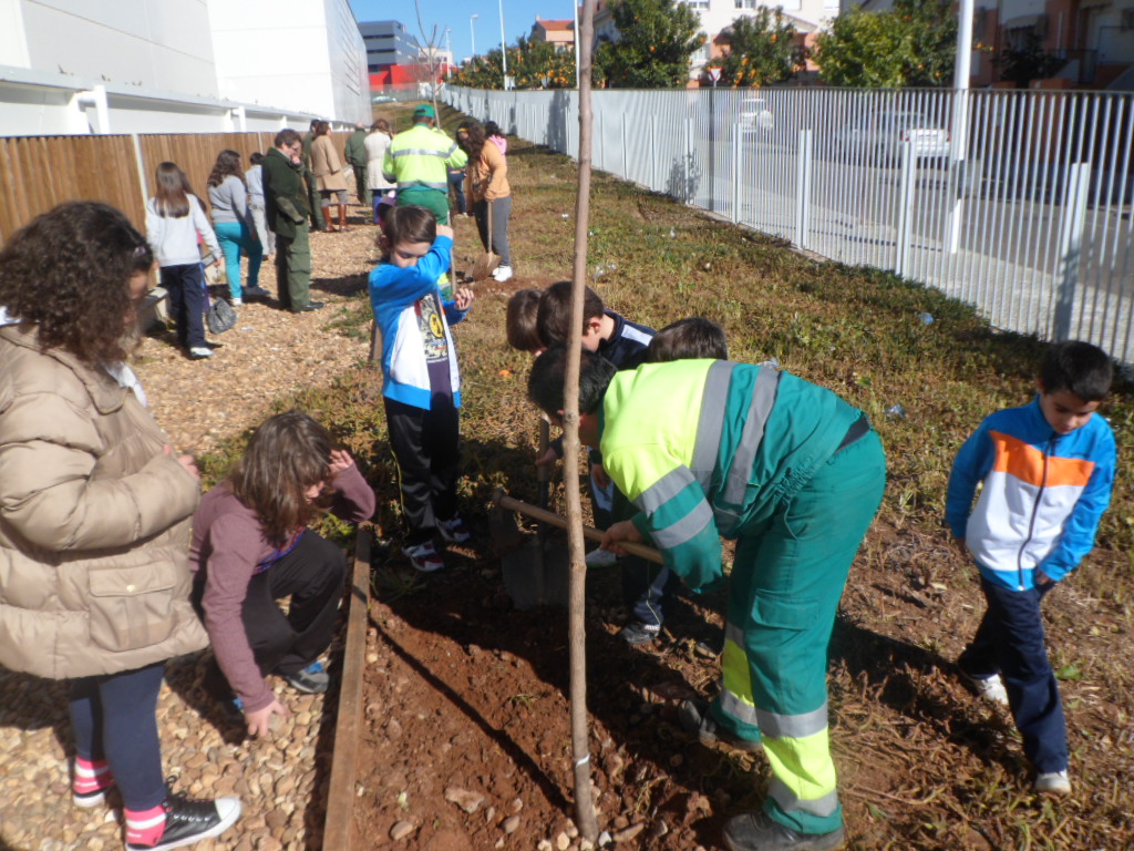 4º primaria 1