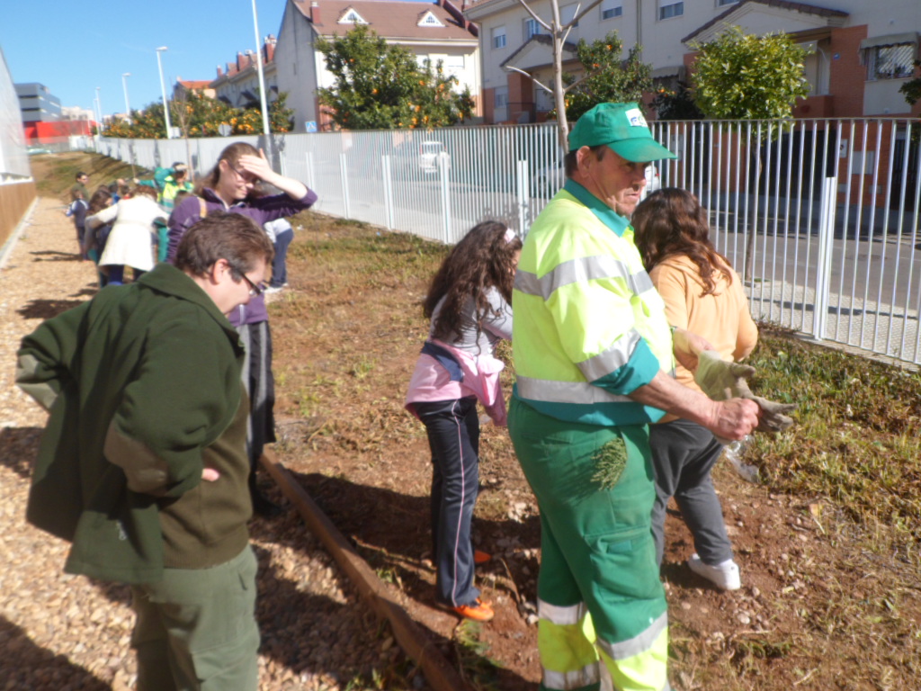 4º primaria 2