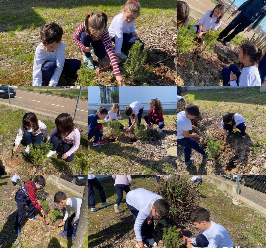 plantacion 2