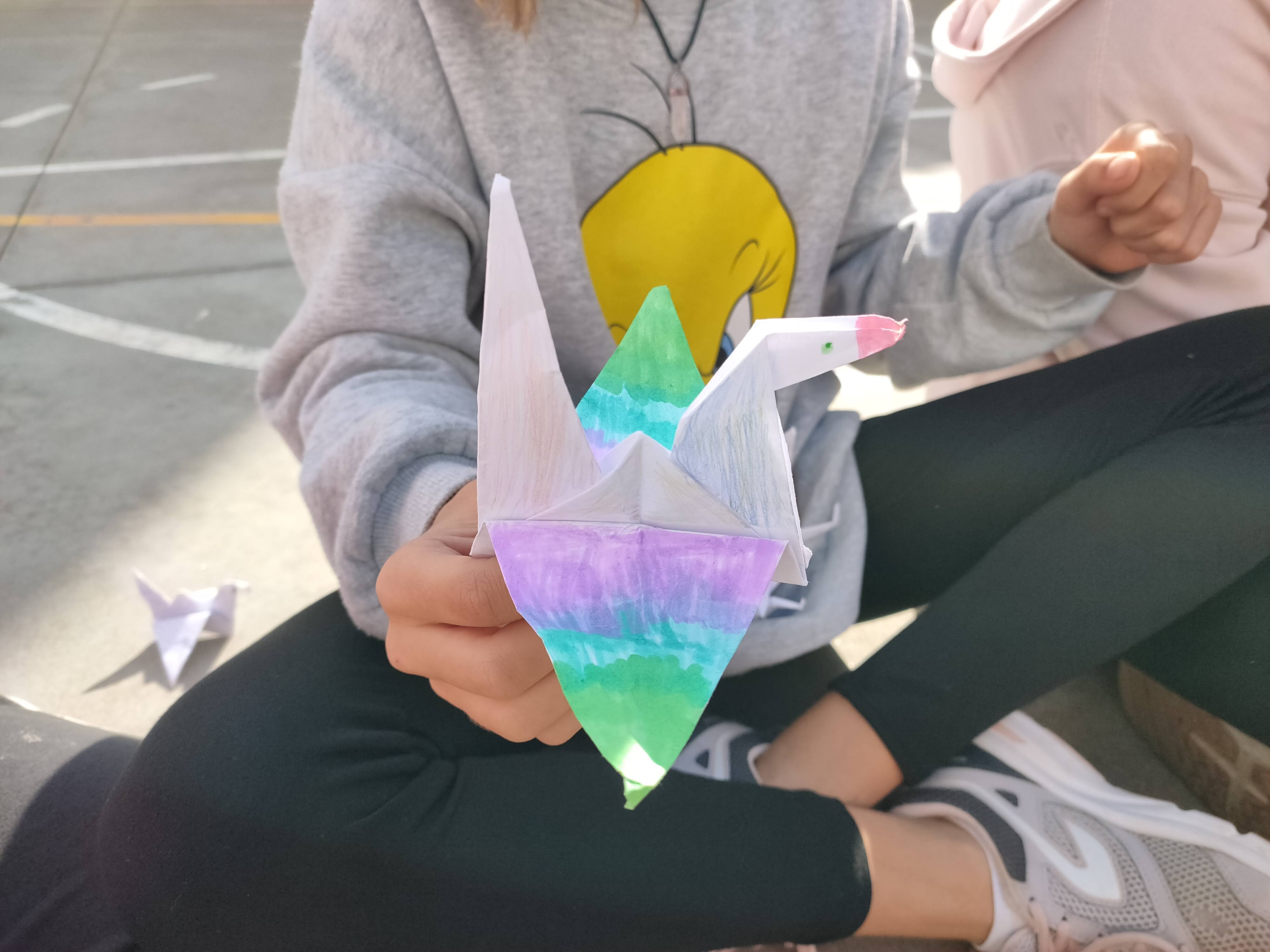 IMG20240130132816