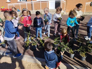 Plantación 1