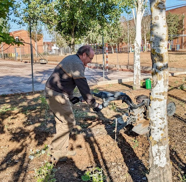 HUERTO ESCOLAR 1