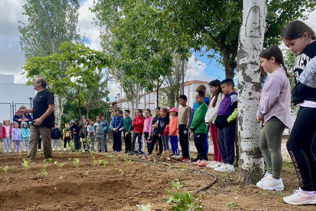 HUERTO ESCOLAR 4