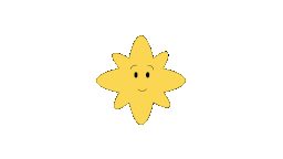 star 19 256