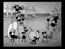 dança banda
