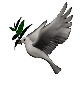 paz dove