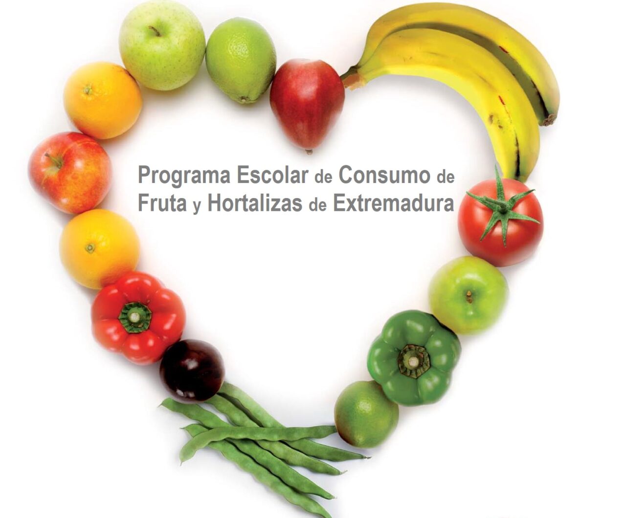 Programa frutas y hortalizas 