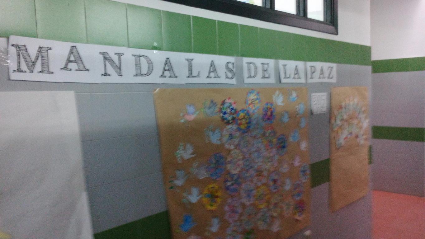 IMG 20170127 095154