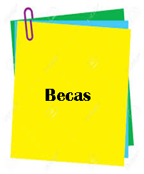 Imagen14