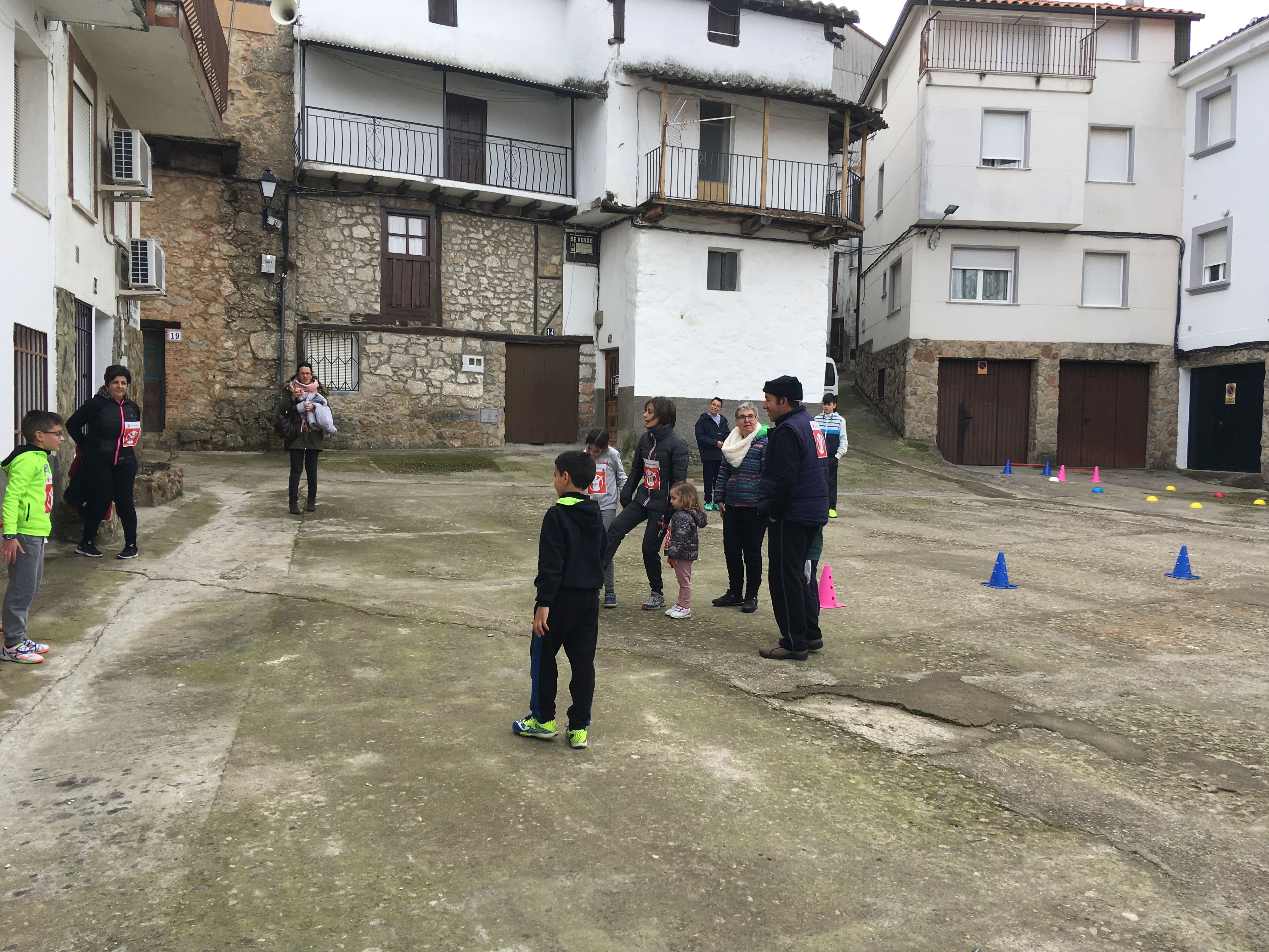 IMG 3981