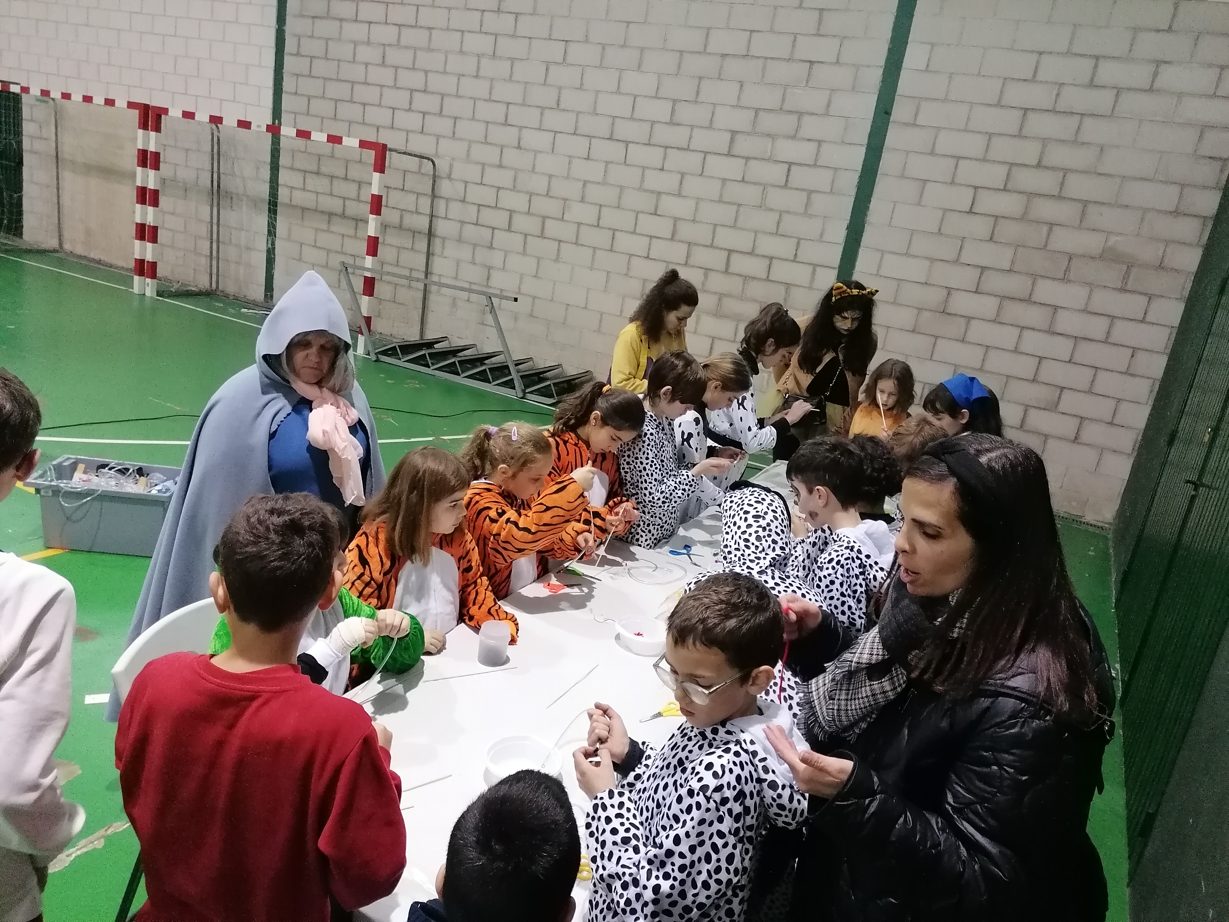 IMG 20240209 091005