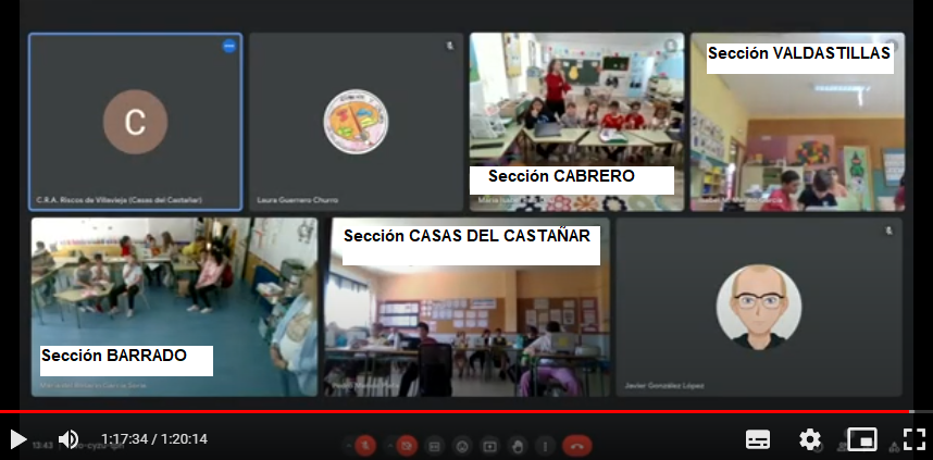 VIDEOLLAMADA CONVIVENCIA PRIMARIA