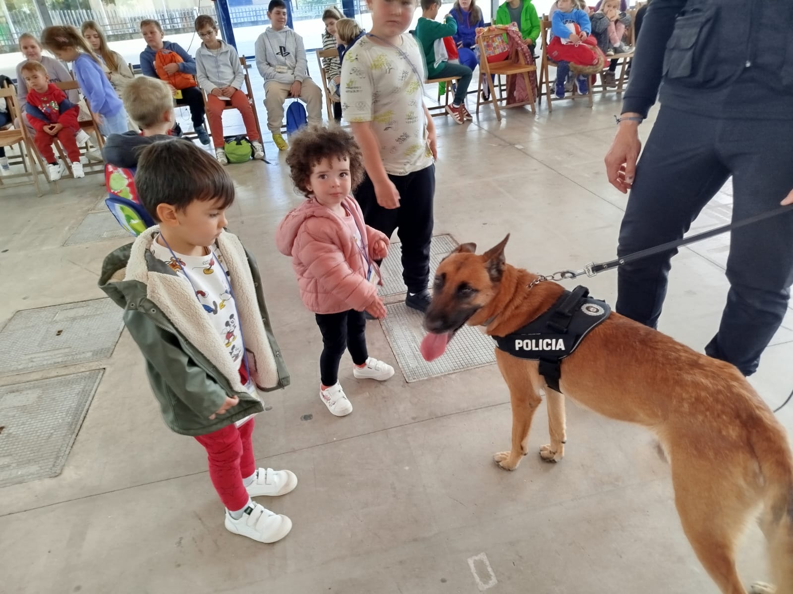 IMG 20241105 WA0068
