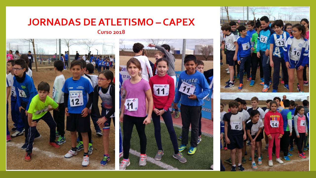 capex 1