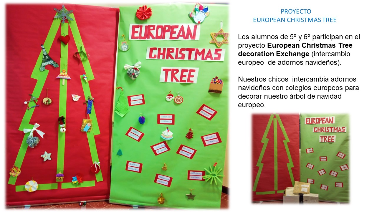 europen christmas tree 2019 1