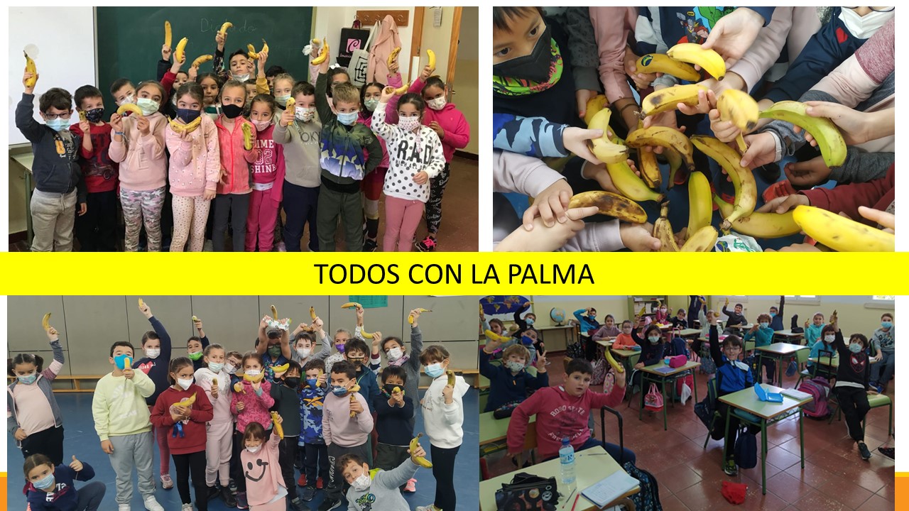 todos con la palma 2