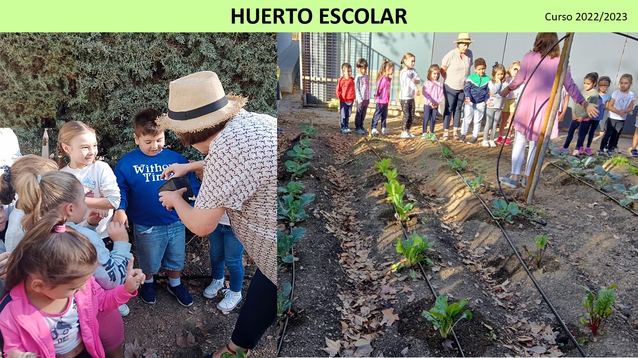 HUERTO ESCOLAR 2022 2