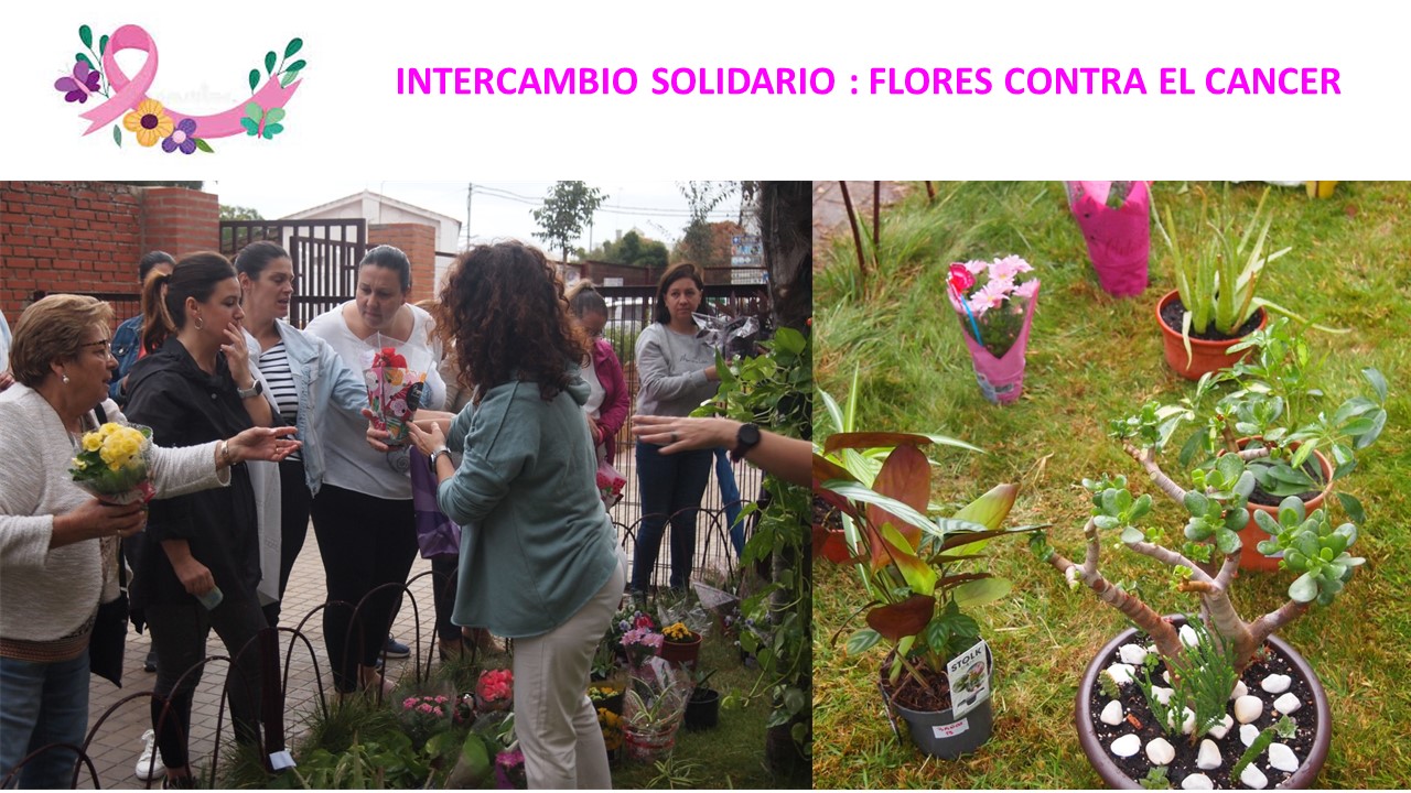 flores contra el cancer 2022 2