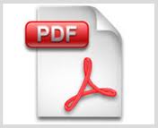 ICONO PDF 1