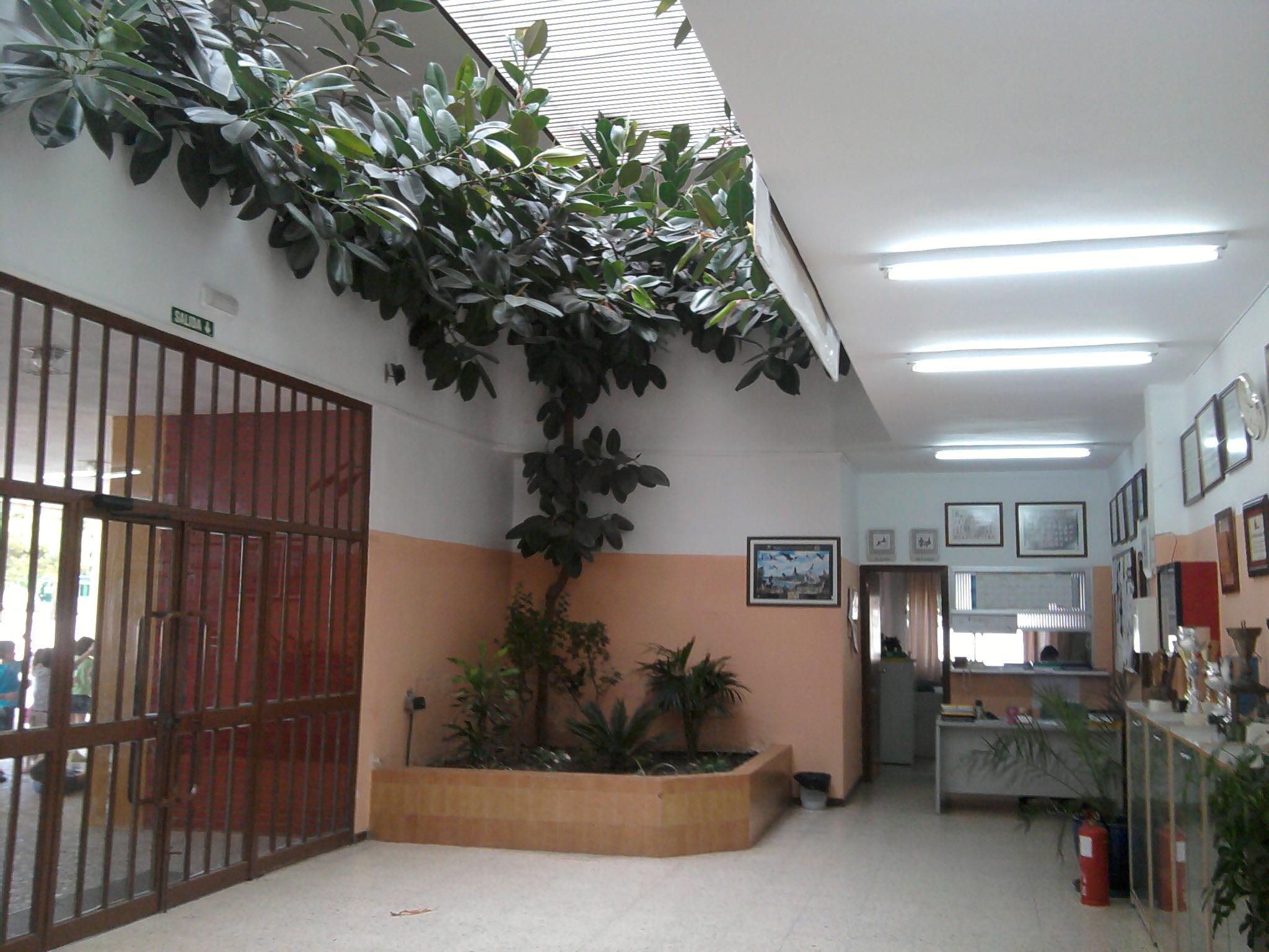 hall