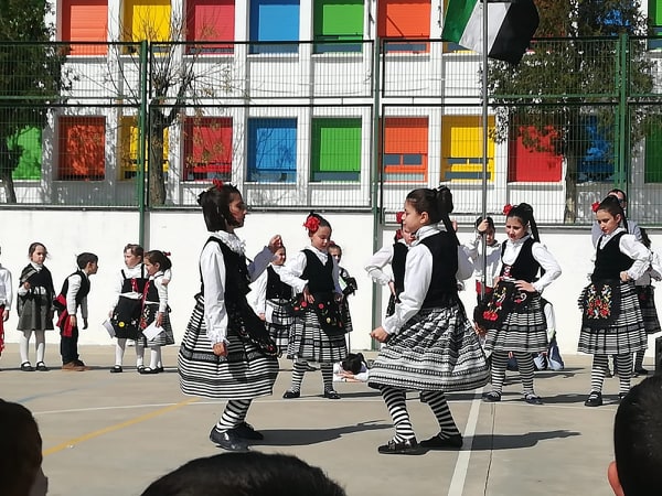 BAILE 5